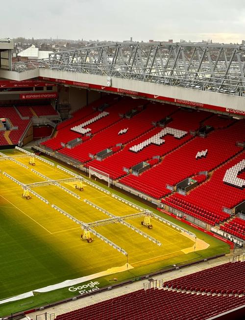 内蒙古多地滑雪场“开板”迎客，冬季旅游迅速升温